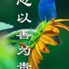 偶遇的头像