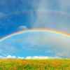 雨后的彩虹的头像