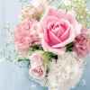  粉玫瑰 的头像