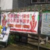 菊美丽的头像