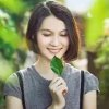 鹰歌主唱蝶儿的头像