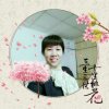 英姐的头像