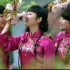 光荣的头像