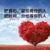 执着的头像