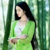 菲儿的头像