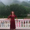 杨立新的头像