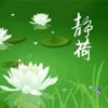 诗艺静荷的头像