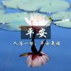 云朵的头像