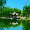 退出的头像