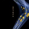 马先生的头像