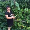 朝天门养生石锅鱼的头像