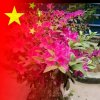 只因有你[歌在飞]的头像