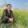 笑看人生醉乐韵的头像