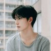 清风的头像