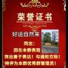 好运自然来。的头像