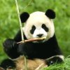 阳光nan的头像