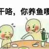 无名的头像
