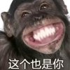 蒙面魔音猴歌阿震的头像
