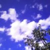 白云蓝天的头像
