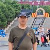 年轮的头像