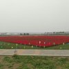 悠然的头像