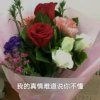永退的头像