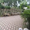 伊人醉的头像
