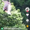 猛龙过江的头像