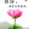 薰衣草的头像