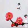 梅的头像