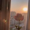 【樂享】开心花儿的头像