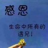 钟情梦，不玩币的头像