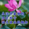 一生相守的头像