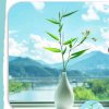 无情潇洒的头像