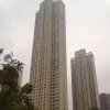 炮家军永无止境的头像