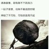 苏杨养蜂场的头像