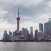 淡然微笑的头像