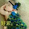 看透人心的头像