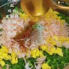 潇月的头像