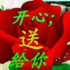 美美哒的头像