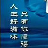 格等你懂你遇见你的头像