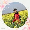 芳菲依丽的头像