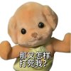 大桃✰҉҈҉҈҉҈的头像