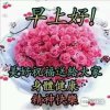 快乐大本营的头像