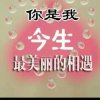 控制不住的想你的头像