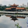 wuye醉乐韵的头像