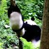Al的头像