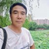 杨柳飞的头像