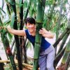 大宋的头像