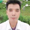 华娱:平安是福的头像